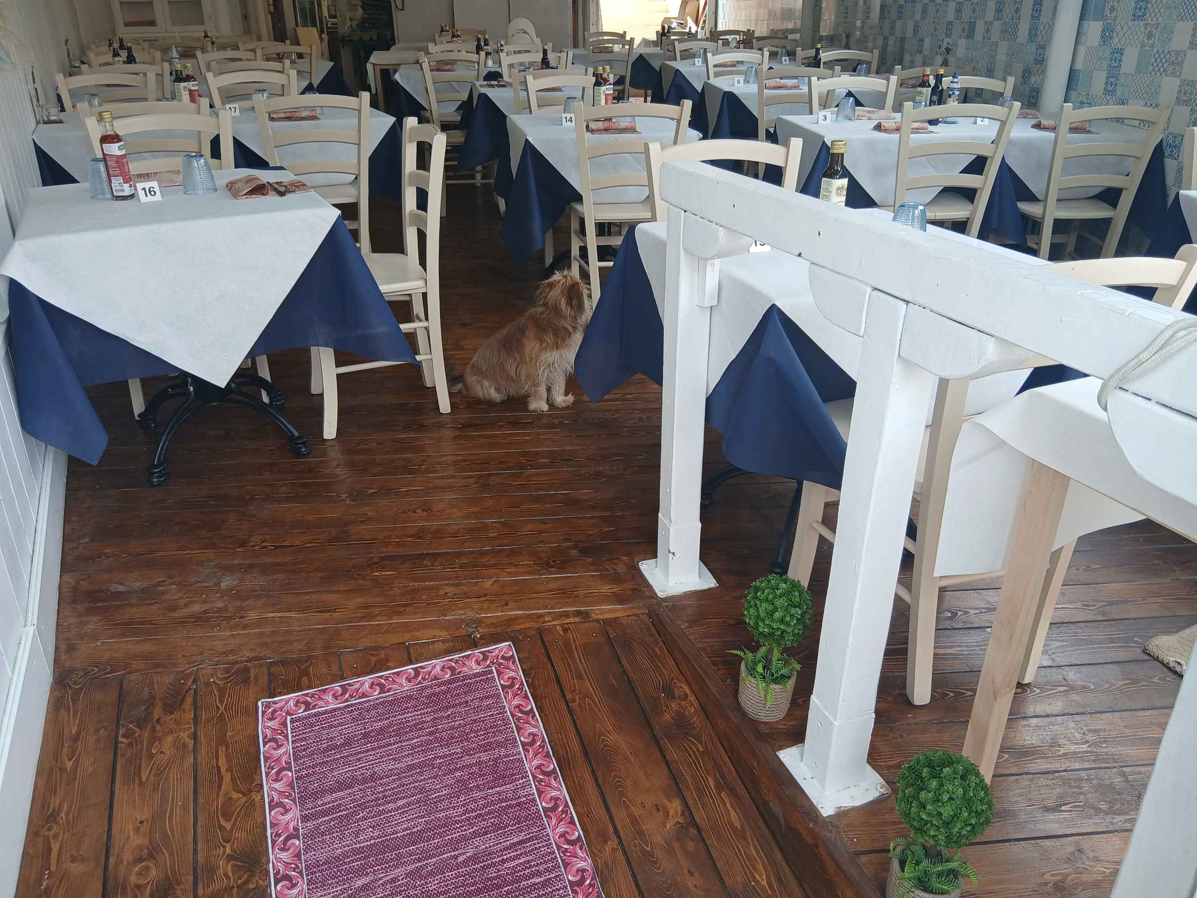 Ristorante sardo con terrazza a Palau